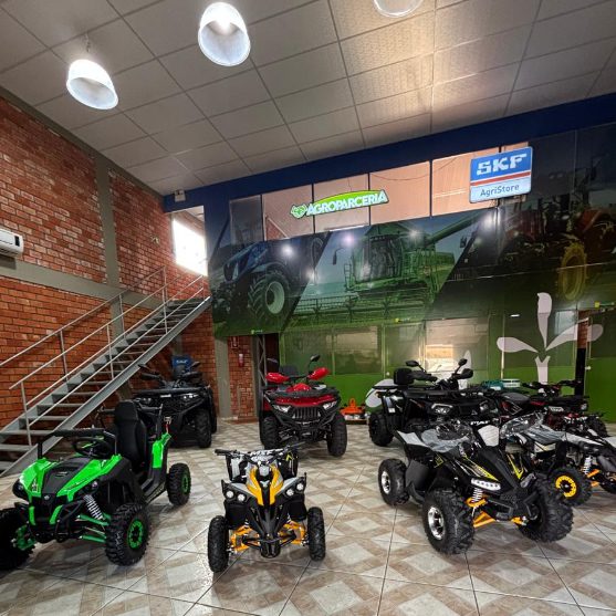 Fabio Antunes de Castro